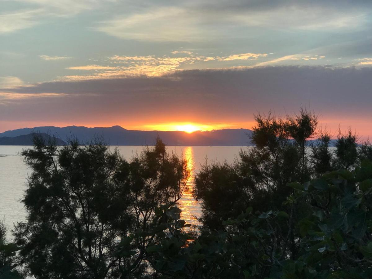 Microcosmos Halepas Tatil Evi